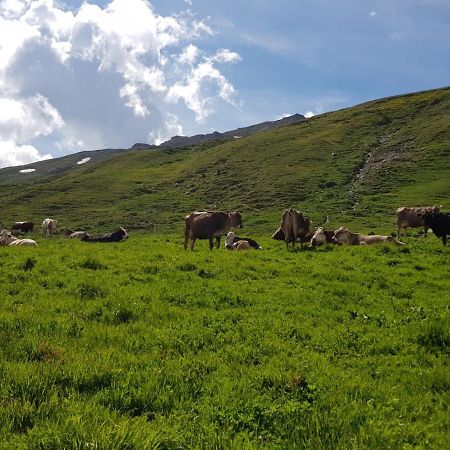 Agriturismo Malga Dell'Alpe Villa Valfurva Luaran gambar